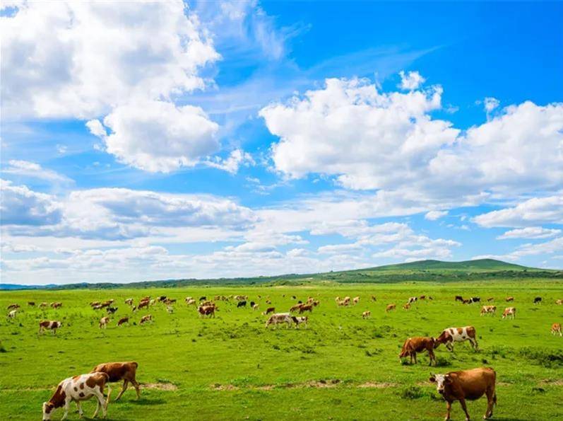 内蒙古，草原诗韵，心灵栖息的圣地