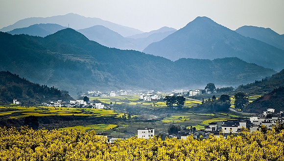 江西之光，学习变化的力量与自信的征程之旅