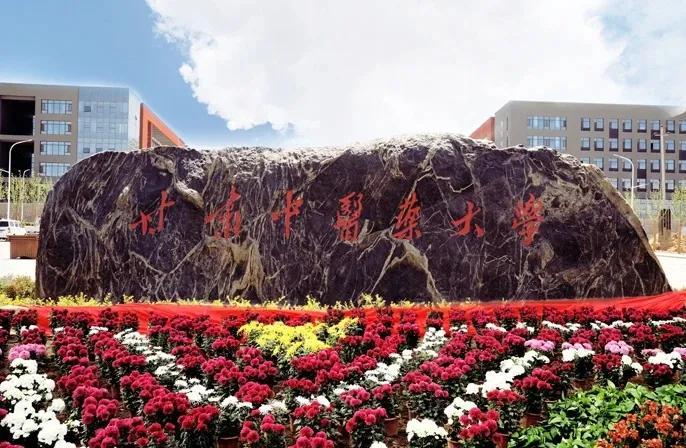 夕阳下的古老村落,甘肃某村口的沉思时刻